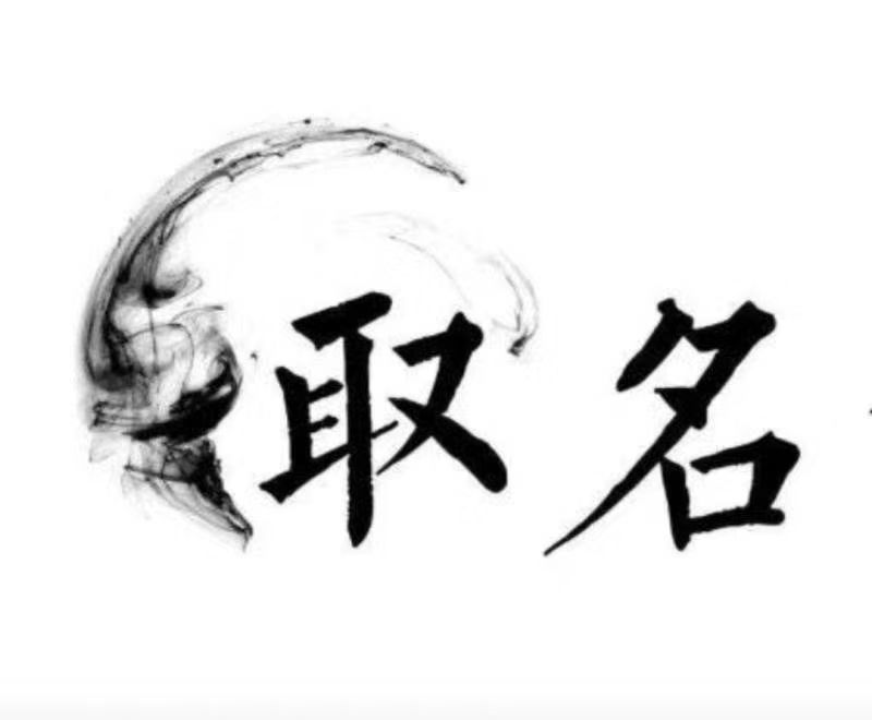  天山宝宝取名 大师一对一人工起名